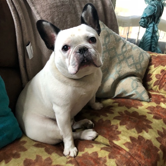 Meet your Posher, Joshua - Picture 1 of 1